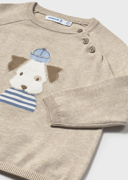 Pull mi-saison chien