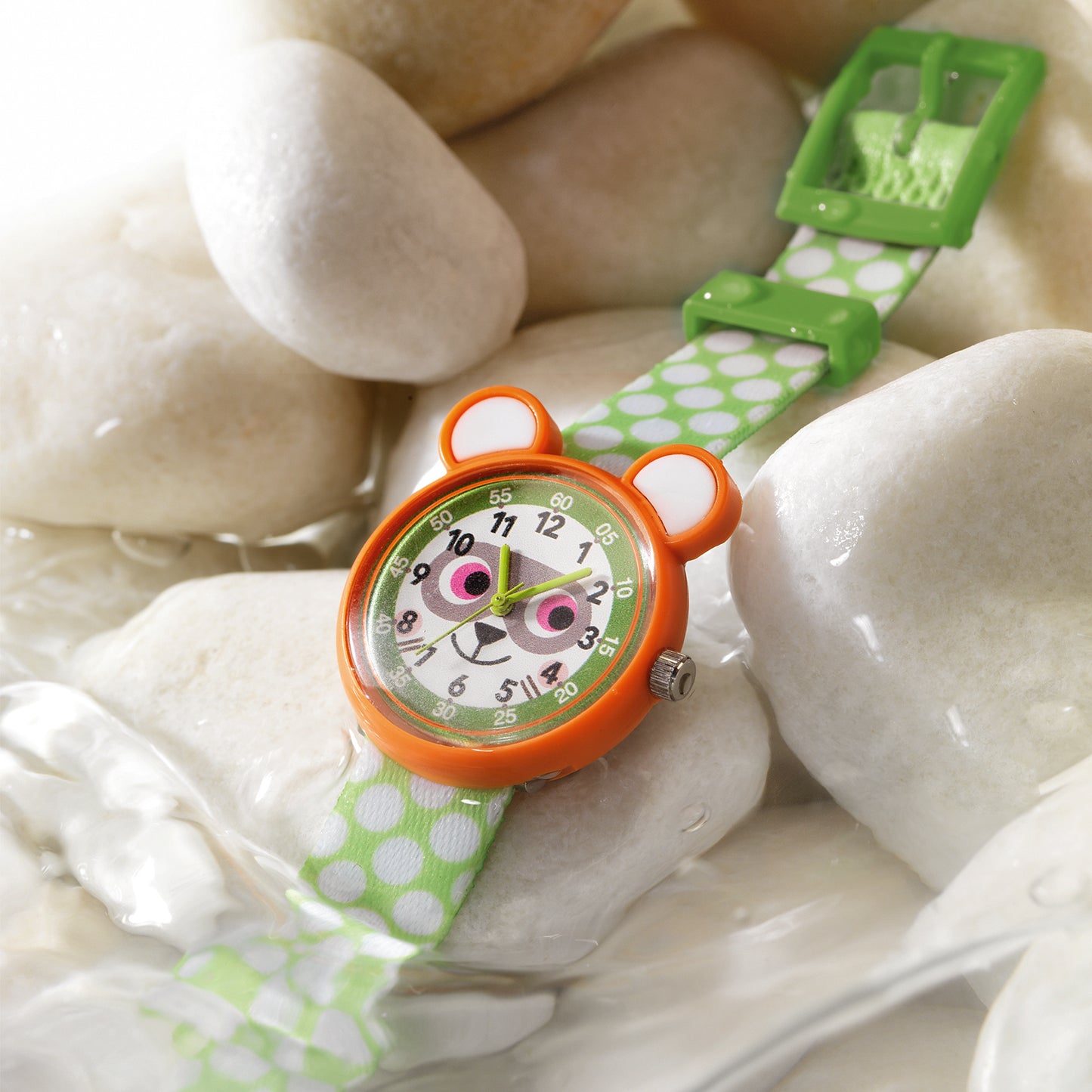 Montre Raton Laveur