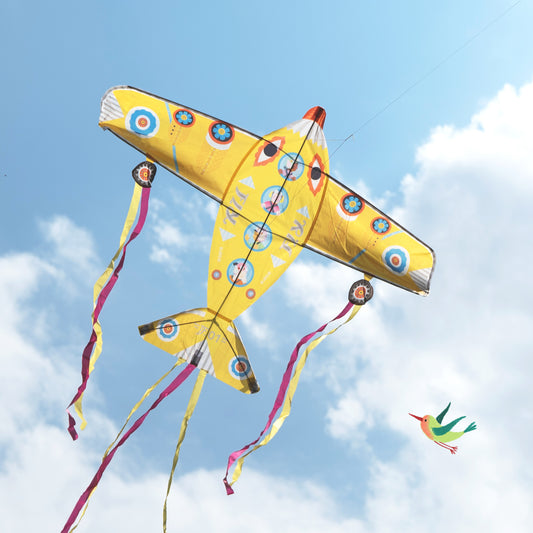 Cerf volant Maxi Plane +5ans