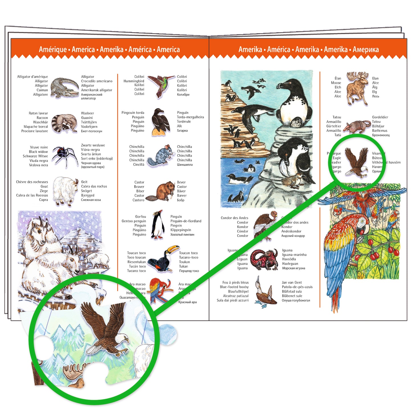 Puzzle Animaux du monde 100pcs + livret +5ans