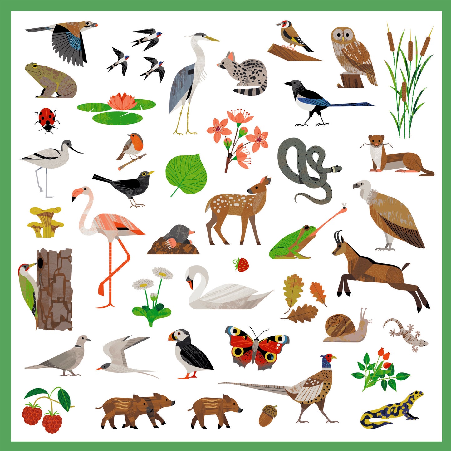 Stickers Animaux - Faune 4-7ans