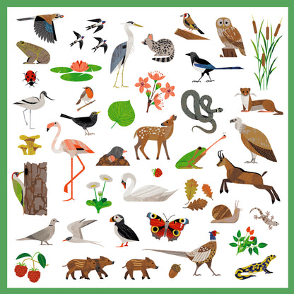 Stickers Animaux - Faune 4-7ans