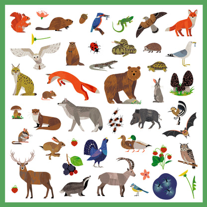 Stickers Animaux - Faune 4-7ans